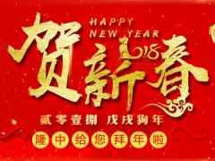 2018年隆中重工春節放假通知